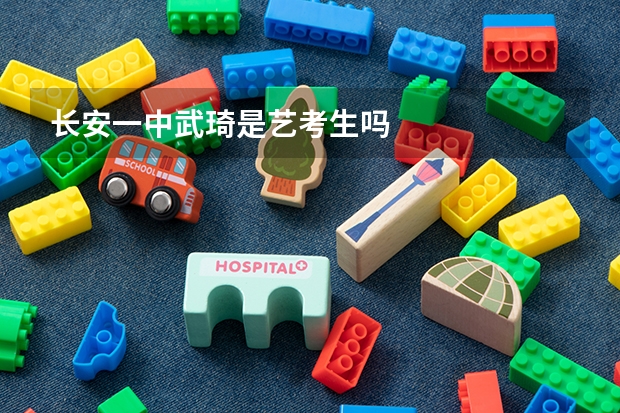 长安一中武琦是艺考生吗