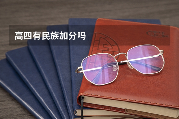 高四有民族加分吗