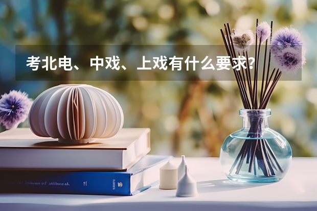 考北电、中戏、上戏有什么要求？