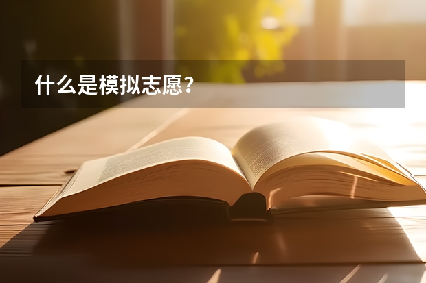 什么是模拟志愿？