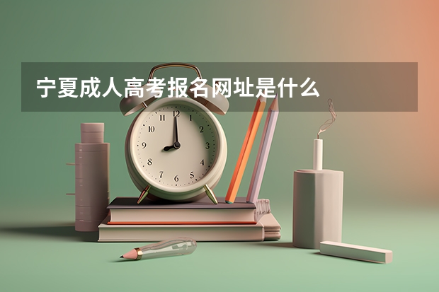 宁夏成人高考报名网址是什么