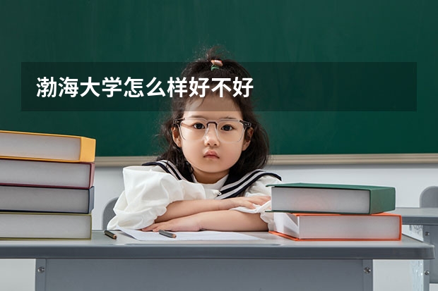 渤海大学怎么样好不好