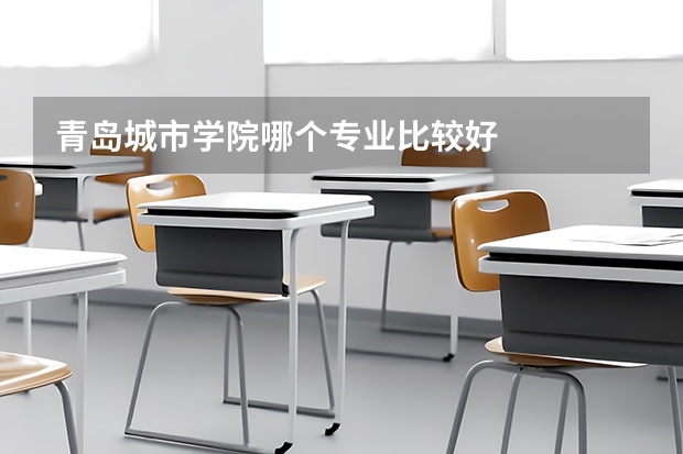 青岛城市学院哪个专业比较好