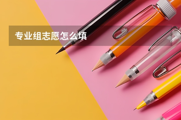专业组志愿怎么填