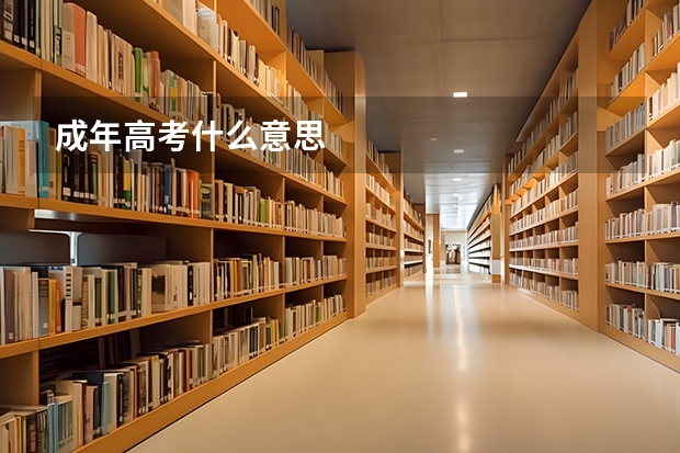 成年高考什么意思