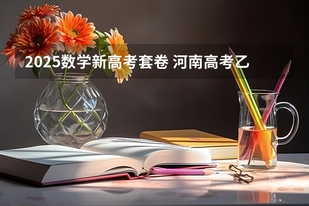 2025数学新高考套卷 河南高考乙卷还是甲卷
