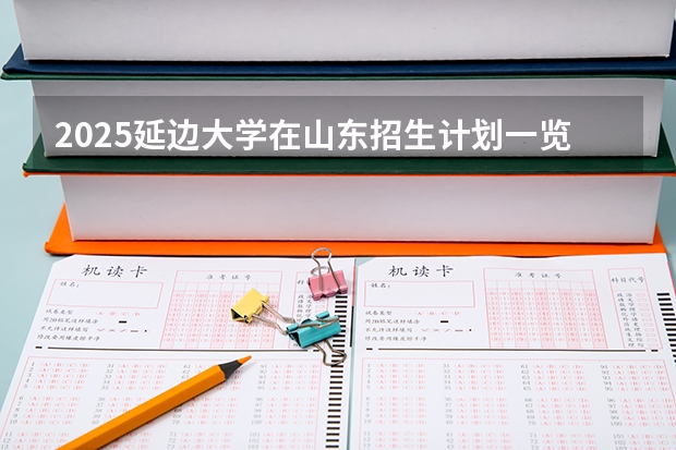 2025延边大学在山东招生计划一览表