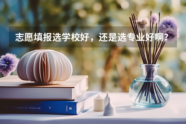 志愿填报选学校好，还是选专业好啊？ 高考报考：填报志愿是选大学重要还是选专业重要？