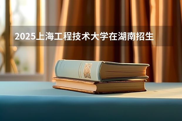 2025上海工程技术大学在湖南招生计划一览表