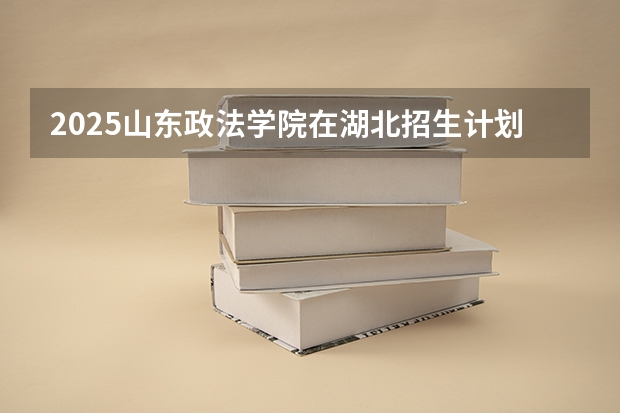 2025山东政法学院在湖北招生计划一览表