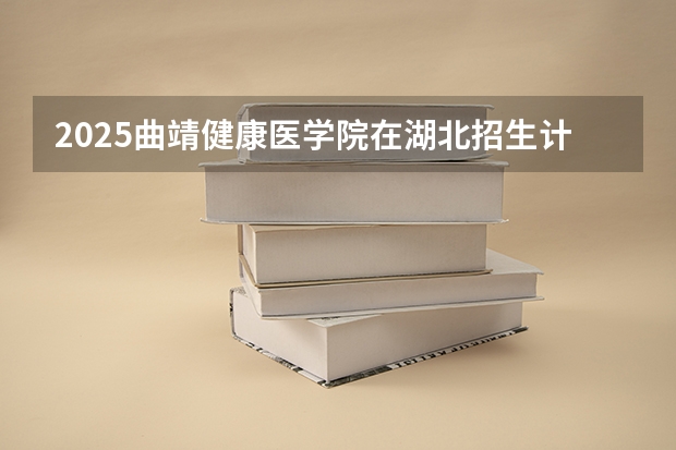 2025曲靖健康医学院在湖北招生计划一览表