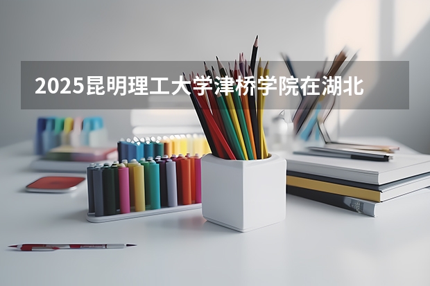 2025昆明理工大学津桥学院在湖北招生计划一览表