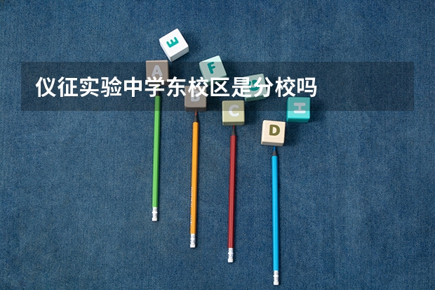 仪征实验中学东校区是分校吗
