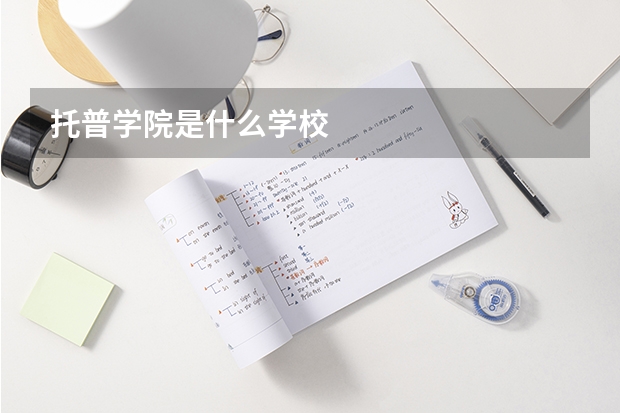 托普学院是什么学校