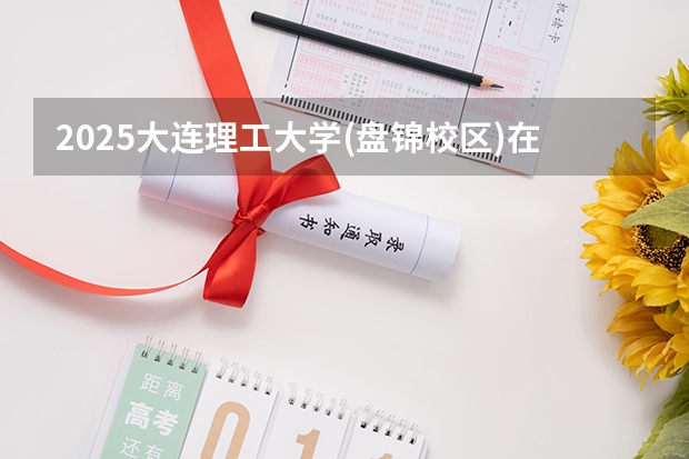 2025大连理工大学(盘锦校区)在天津招生计划一览表