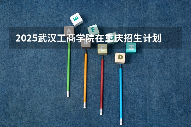 2025武汉工商学院在重庆招生计划一览表