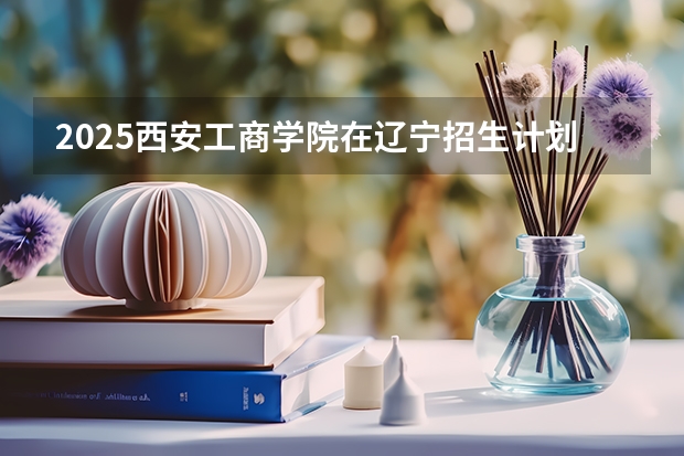2025西安工商学院在辽宁招生计划一览表