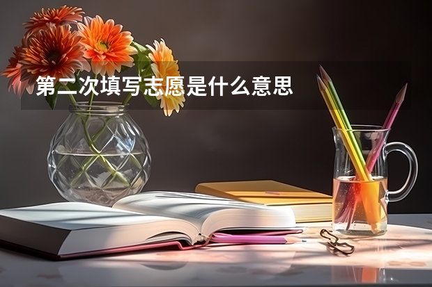 第二次填写志愿是什么意思