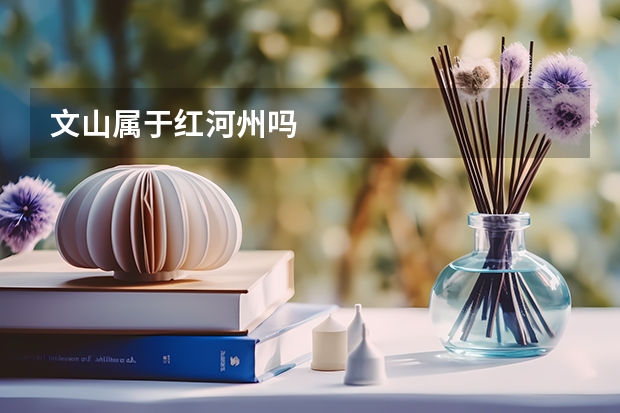 文山属于红河州吗