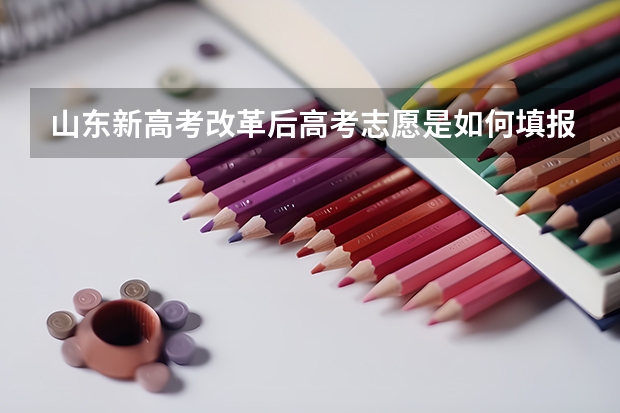 山东新高考改革后高考志愿是如何填报的？