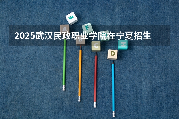 2025武汉民政职业学院在宁夏招生计划完整版（专业+人数+学费）2026志愿填报参考