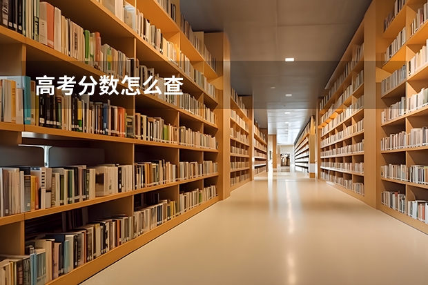 高考分数怎么查