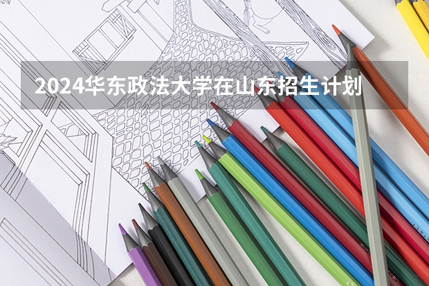 2024华东政法大学在山东招生计划 招多少人