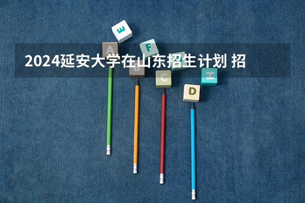 2024延安大学在山东招生计划 招多少人