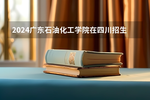 2024广东石油化工学院在四川招生计划 招多少人