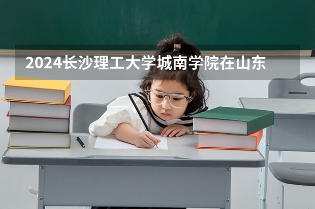 2024长沙理工大学城南学院在山东招生计划 招多少人