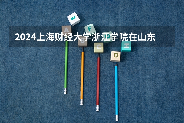 2024上海财经大学浙江学院在山东招生计划 招多少人