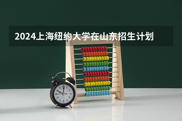 2024上海纽约大学在山东招生计划 招多少人
