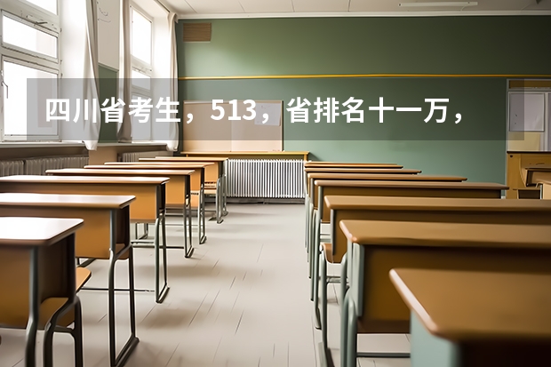 四川省考生，513，省排名十一万，能报什么学校