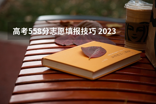 高考558分志愿填报技巧 2023年浙江高考录取线
