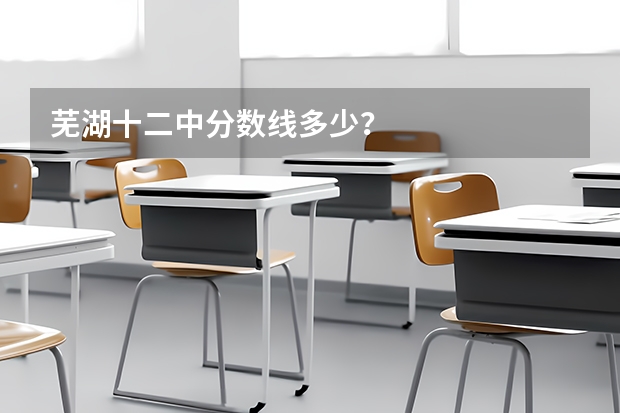 芜湖十二中分数线多少？