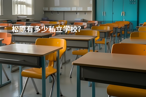 松原有多少私立学校？