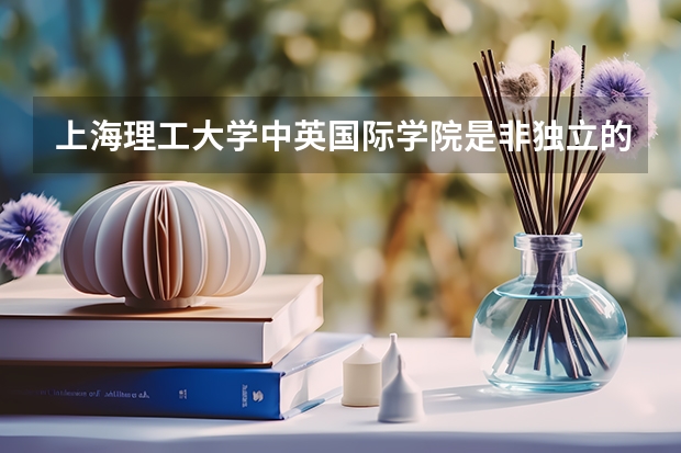 上海理工大学中英国际学院是非独立的二级学院?怎么区分独立与非独立二级学院?
