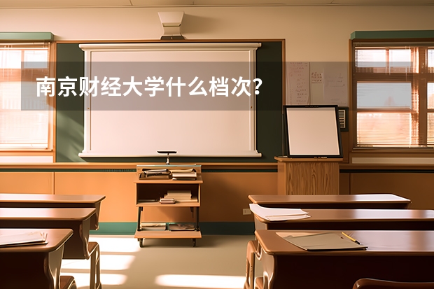 南京财经大学什么档次？