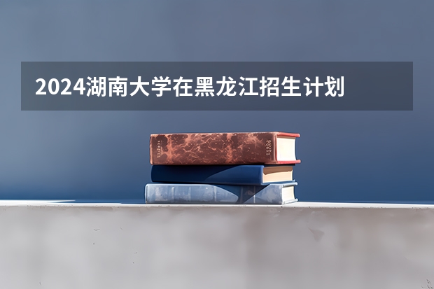2024湖南大学在黑龙江招生计划 招多少人