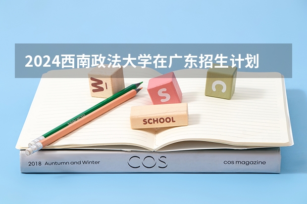 2024西南政法大学在广东招生计划 招多少人