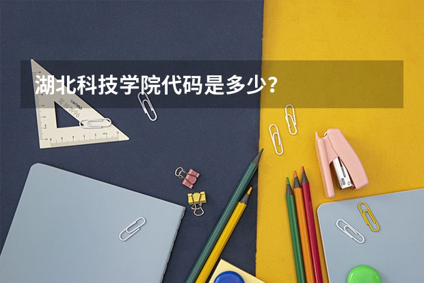 湖北科技学院代码是多少？