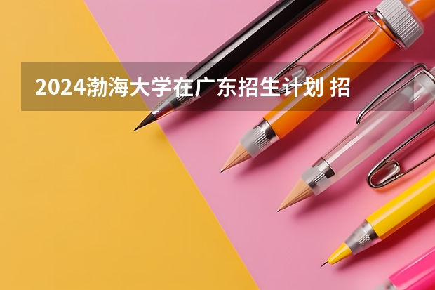 2024渤海大学在广东招生计划 招多少人