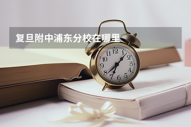 复旦附中浦东分校在哪里