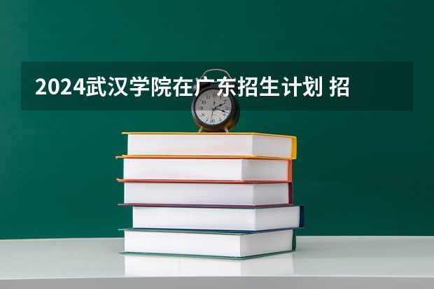 2024武汉学院在广东招生计划 招多少人