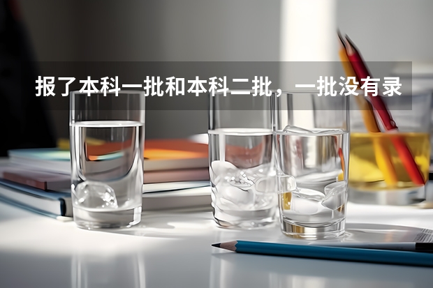 报了本科一批和本科二批，一批没有录取，还能报一批的征集志愿吗？