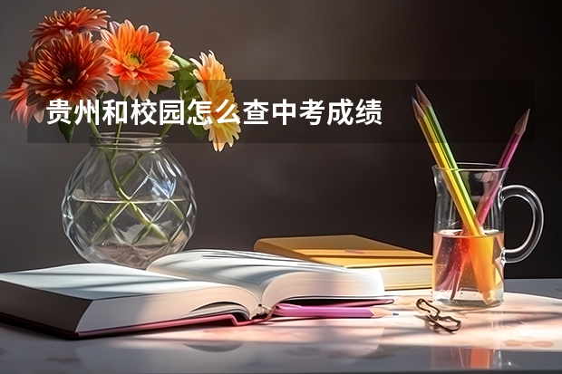 贵州和校园怎么查中考成绩