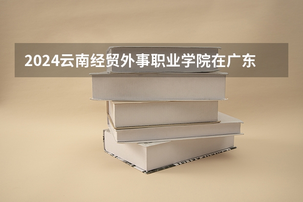 2024云南经贸外事职业学院在广东招生计划 招多少人