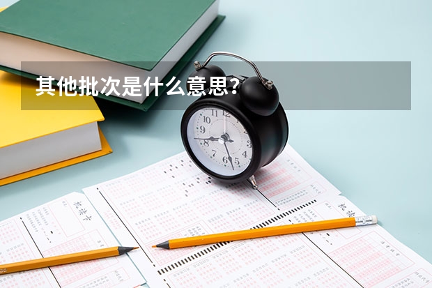其他批次是什么意思？