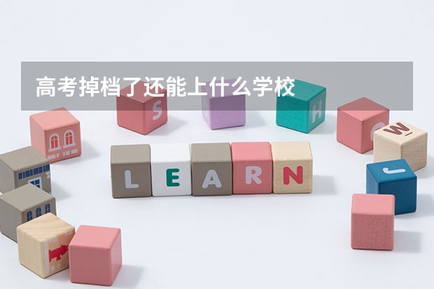 高考掉档了还能上什么学校