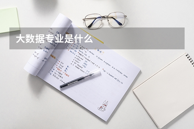 大数据专业是什么